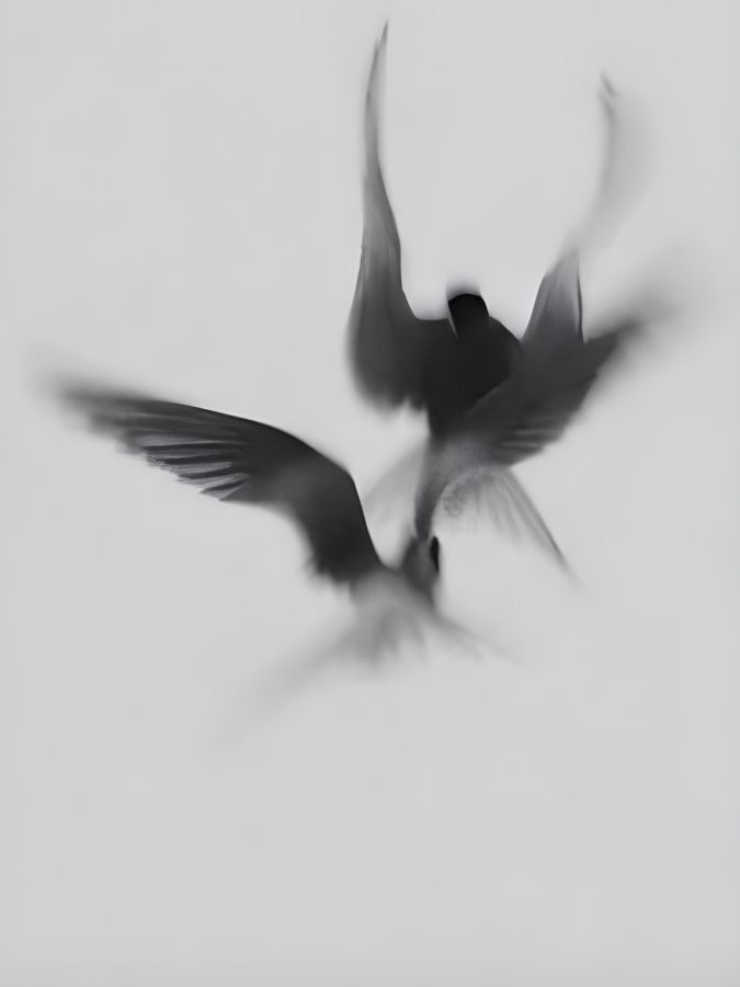 ①⓪⓪④ 대표 이미지