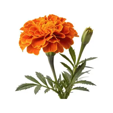Profile image of 조재훈