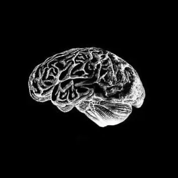 Quixotic의 내 그거 정신병이라 안 캤나