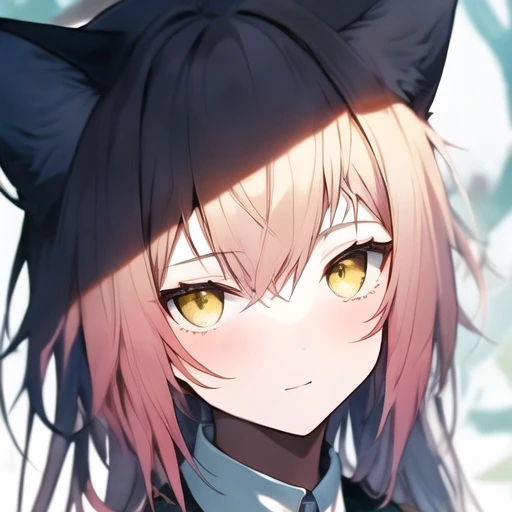모양몬