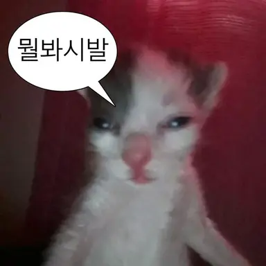 Profile image of Kim Yeo-woo
