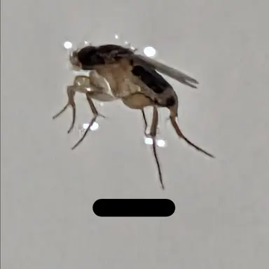 Profile image of 이병 파리
