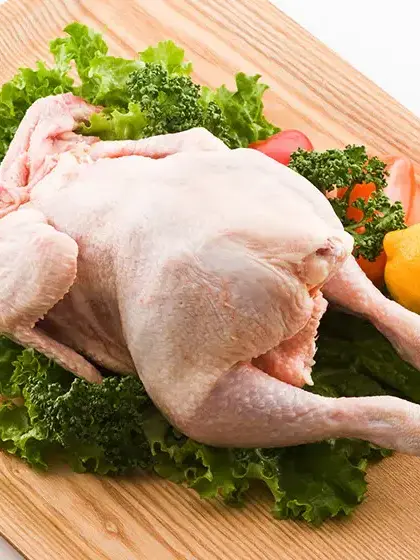 SleazyKiwi7423의 鶏肉（ナマ）