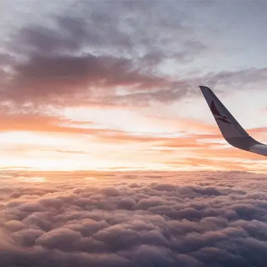 Profile image of ALD1