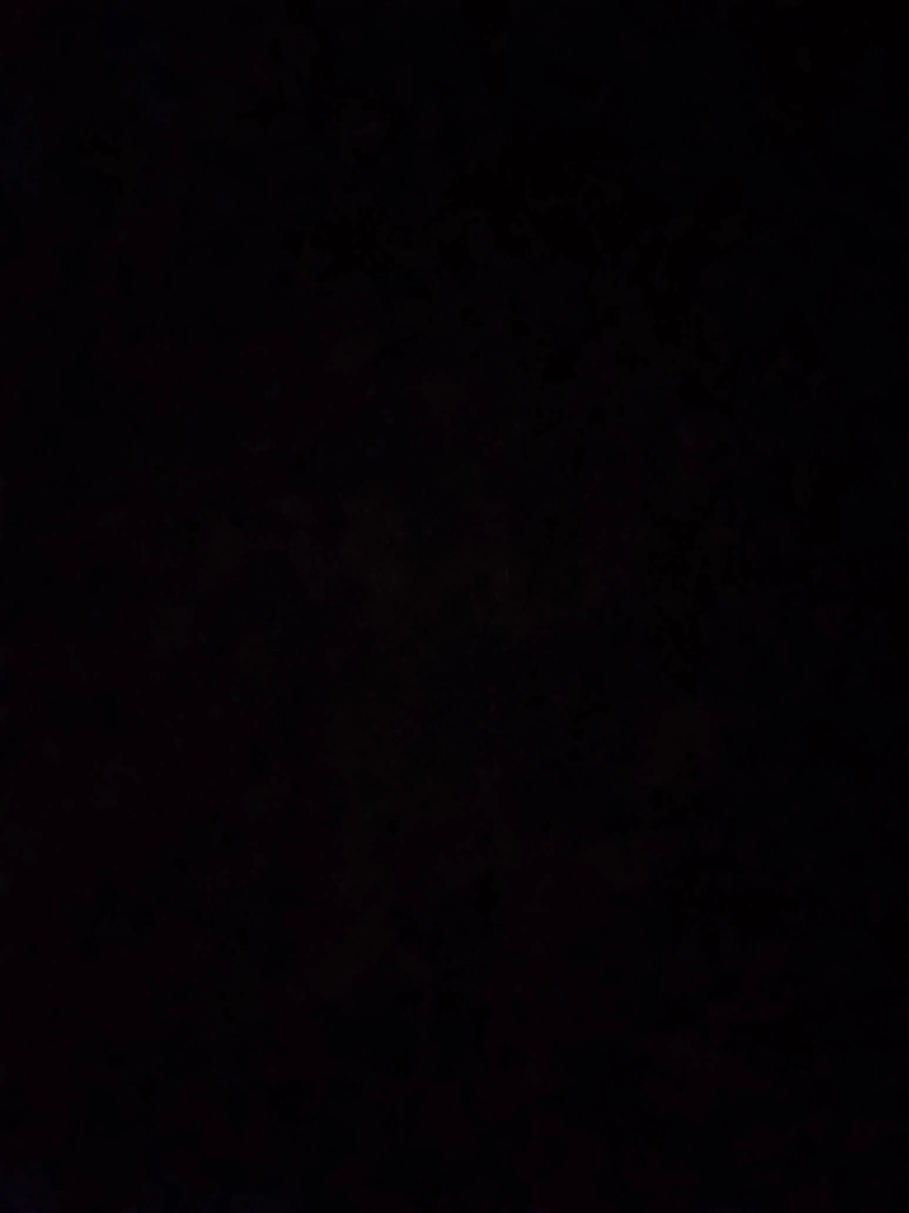 CattyBus6940의 친오빠