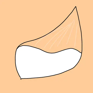Profile image of 강여우