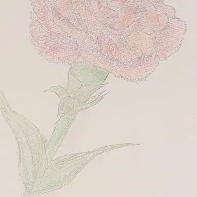Profile image of みう