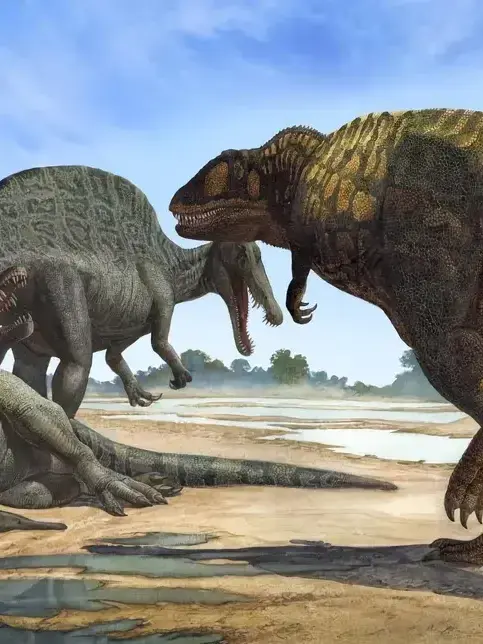 cyd_123의 당신의 켐켐층군 생태계 생존기