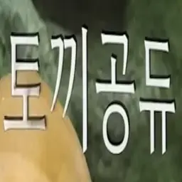 Profile image of 토끼공듀