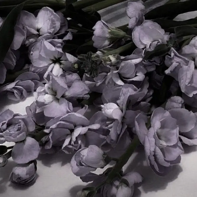 True_love_always_win의 보고싶었다구, 정말.