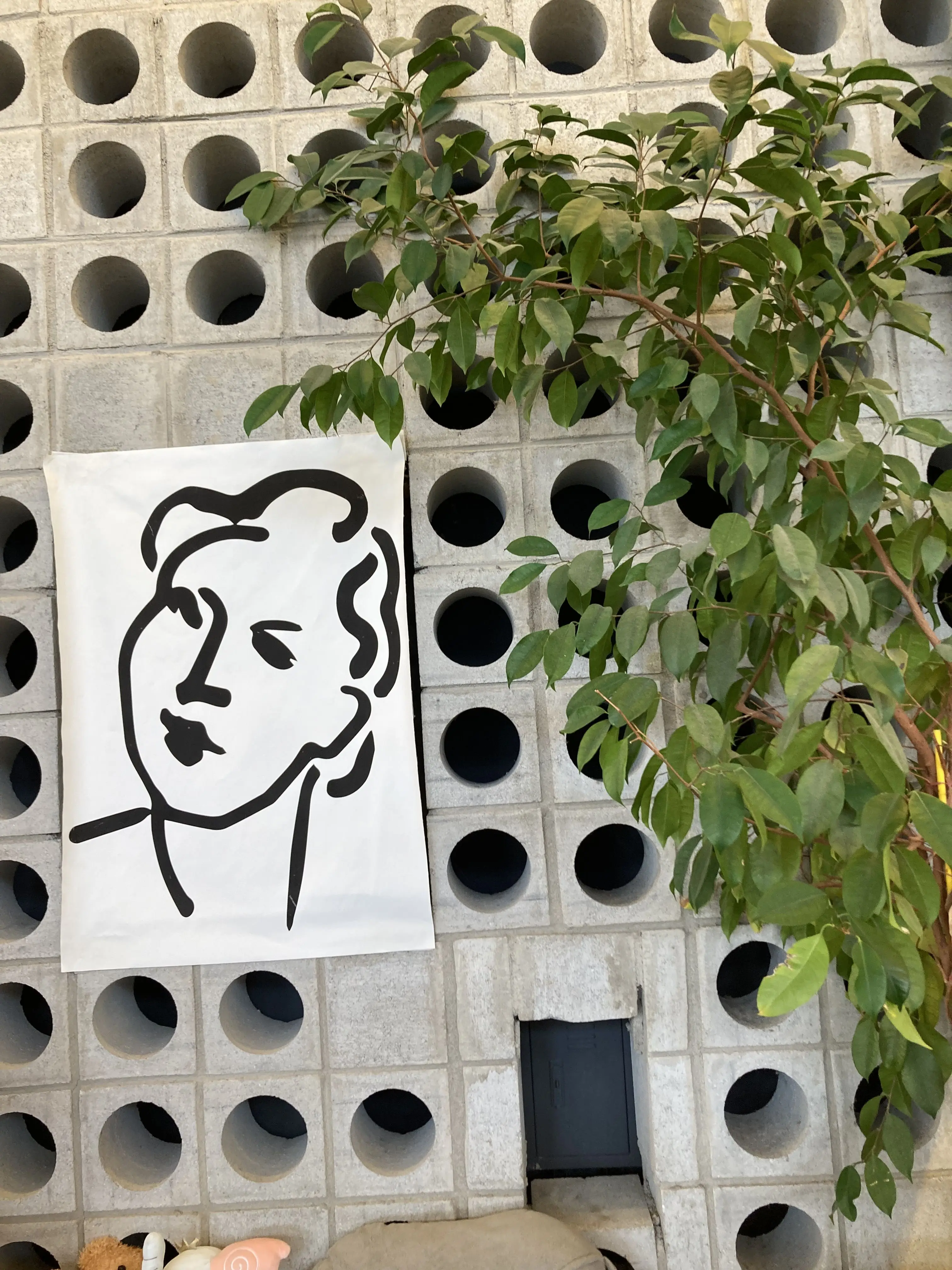 MilkyWayCookieVeryCute의 에이션트/비스트/여우 조직