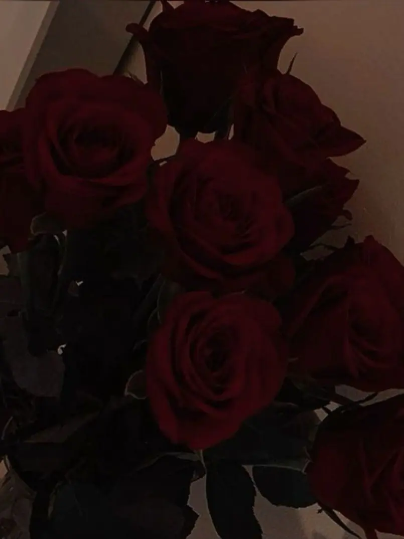 paradise-5의 시간을 파는 곳 .