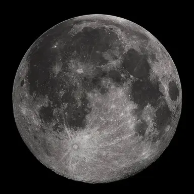Profile image of 달
