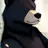 ゴンタ