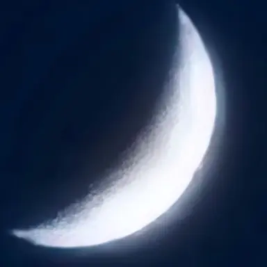 Profile image of 망묘