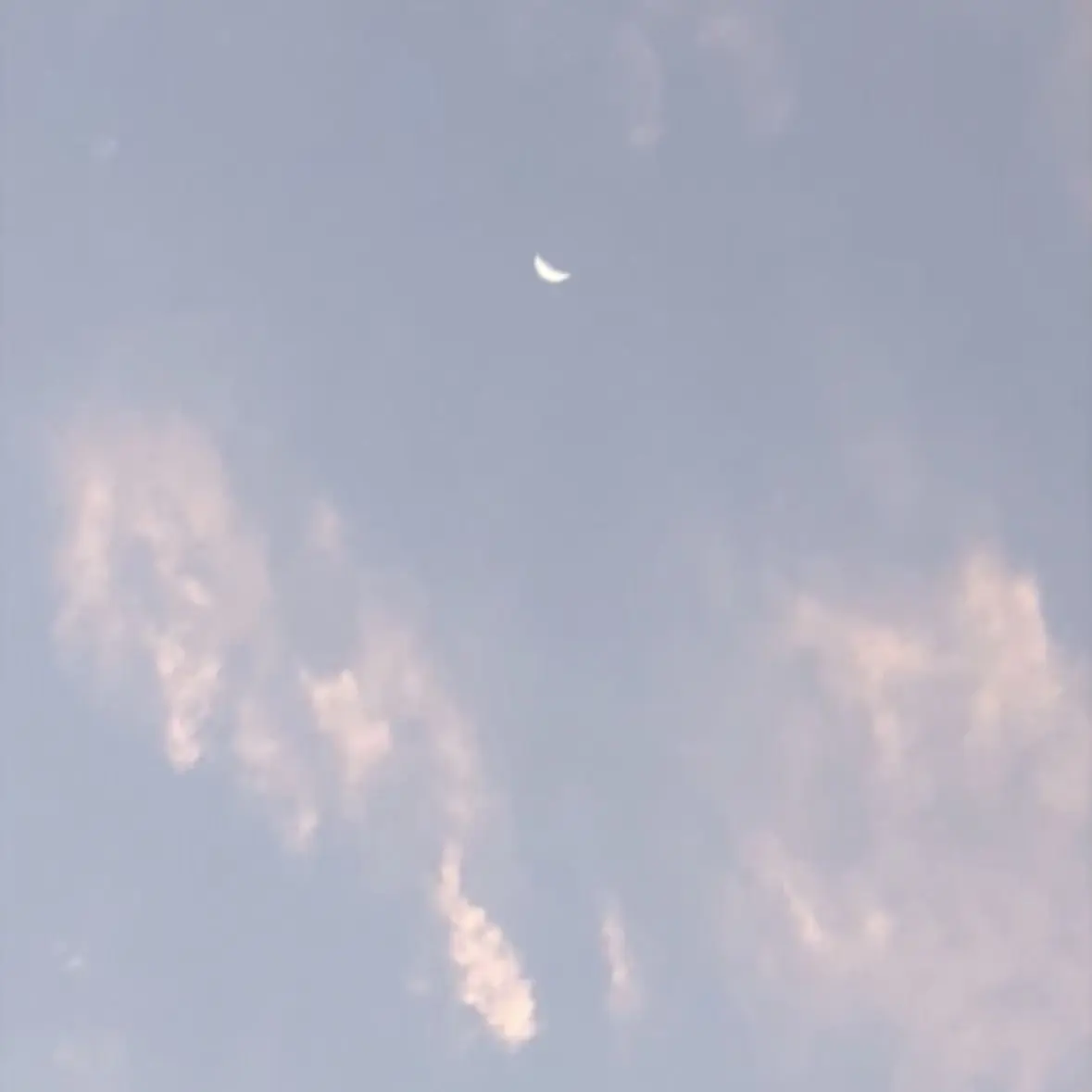 sora_goodday의 のむへい