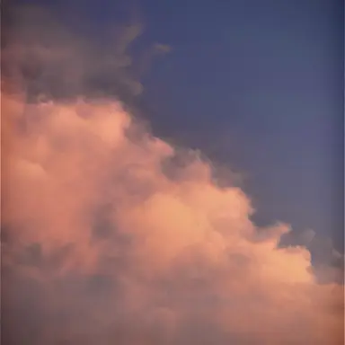 Profile image of 창빈