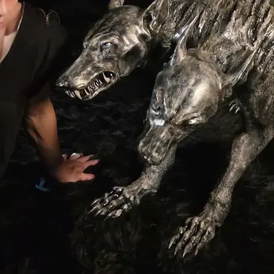 Profile image of 손현우