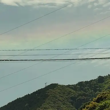 Profile image of 桃木