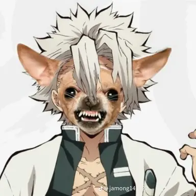 Profile image of 시나즈가와 사네미