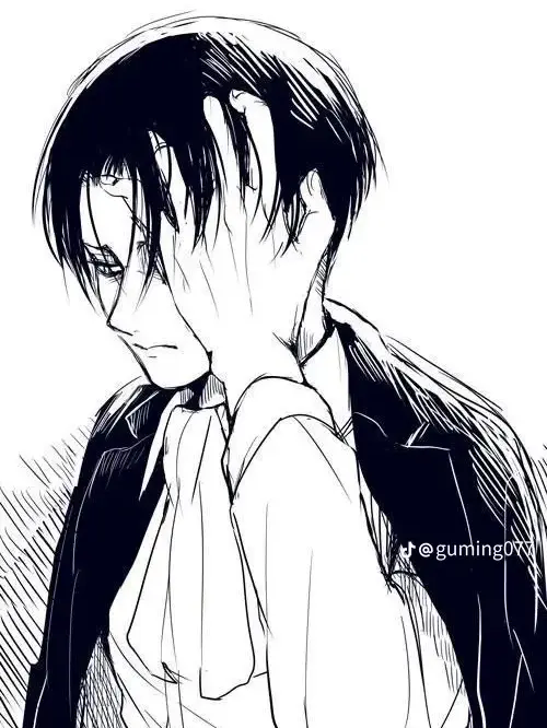 ShortSteel2882의 리바이 아커만