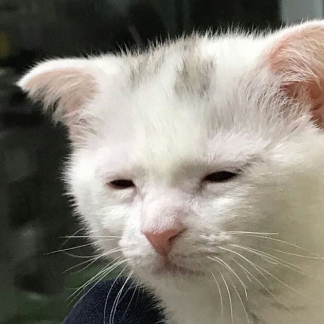 마음대로 대표 이미지