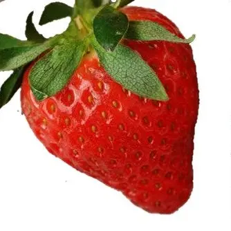 Profile image of 사토 타쿠오