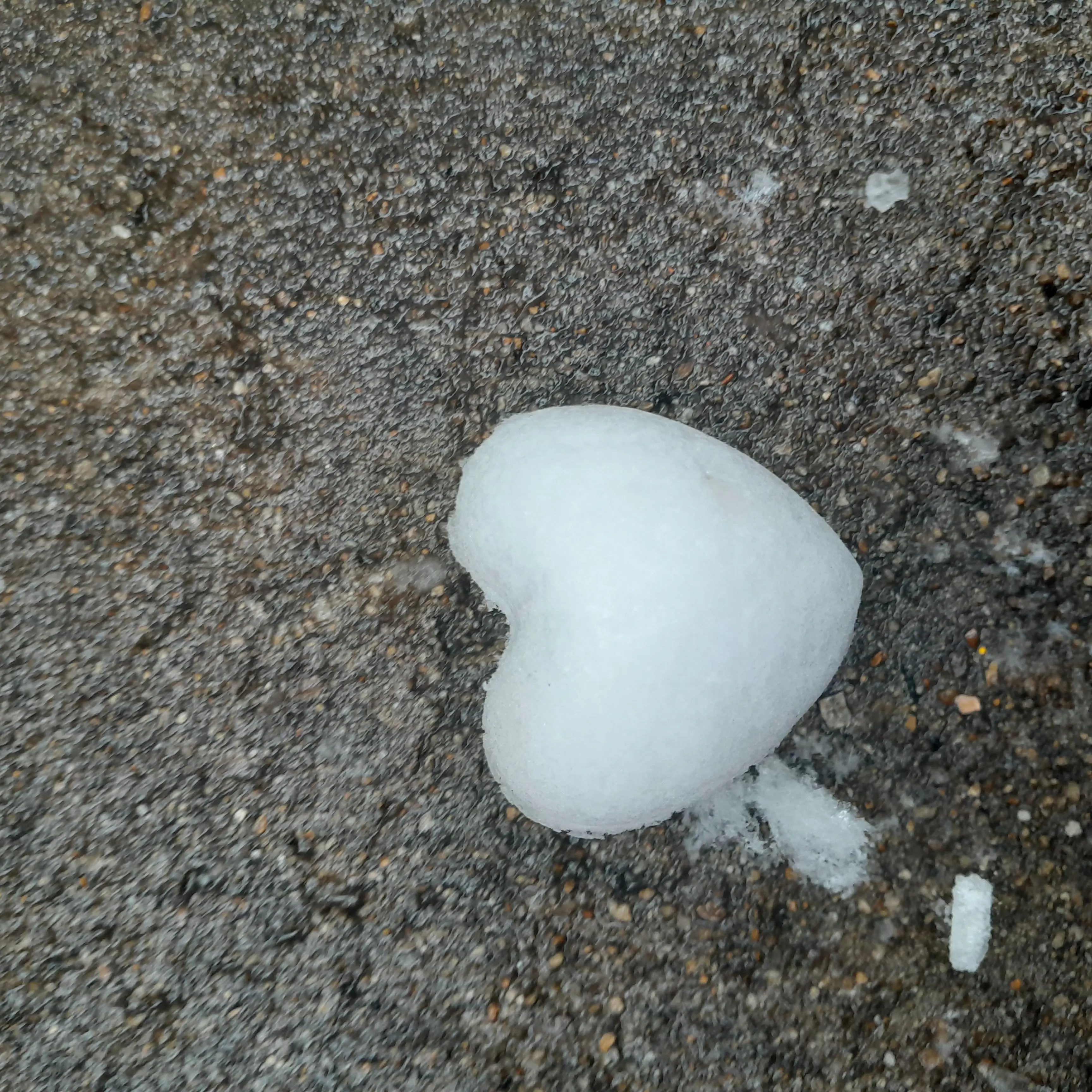 LavishDice3194의 돌담병원[업데이트]