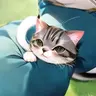 캐릭터 프로필 이미지