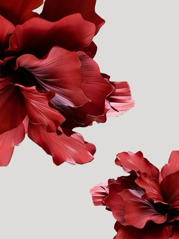 ahuuuuka191의 ウワサのあの子