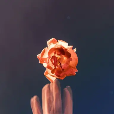 Profile image of 박덕개