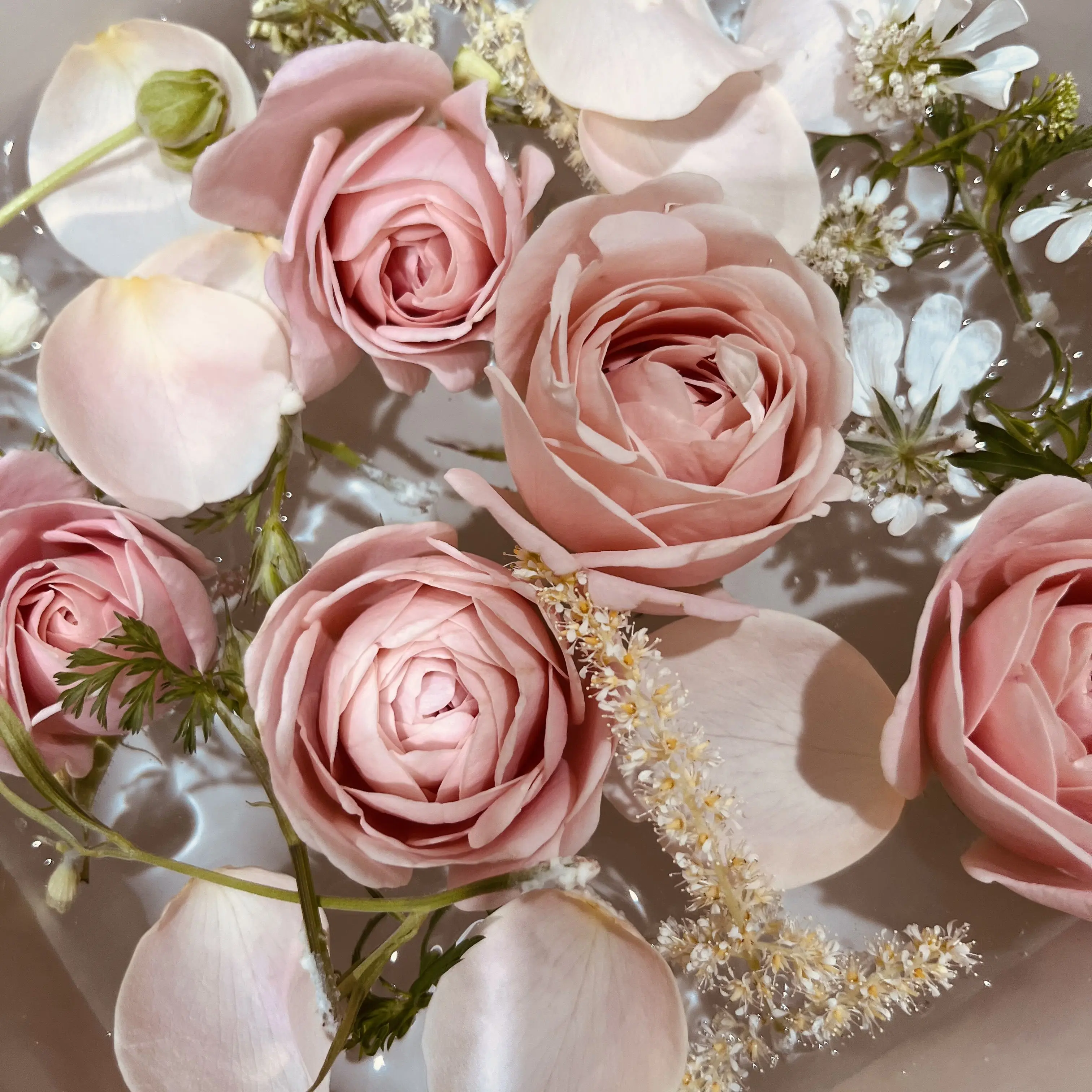 RacialMucus9915의 내가 좋아하는 선배가 연애 소설..?