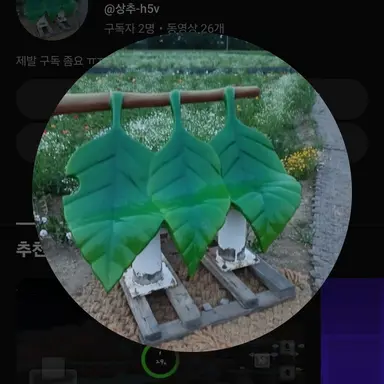 Profile image of 상추tv