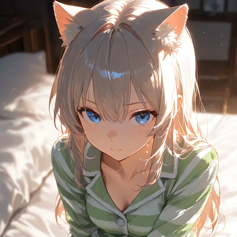 샬롯