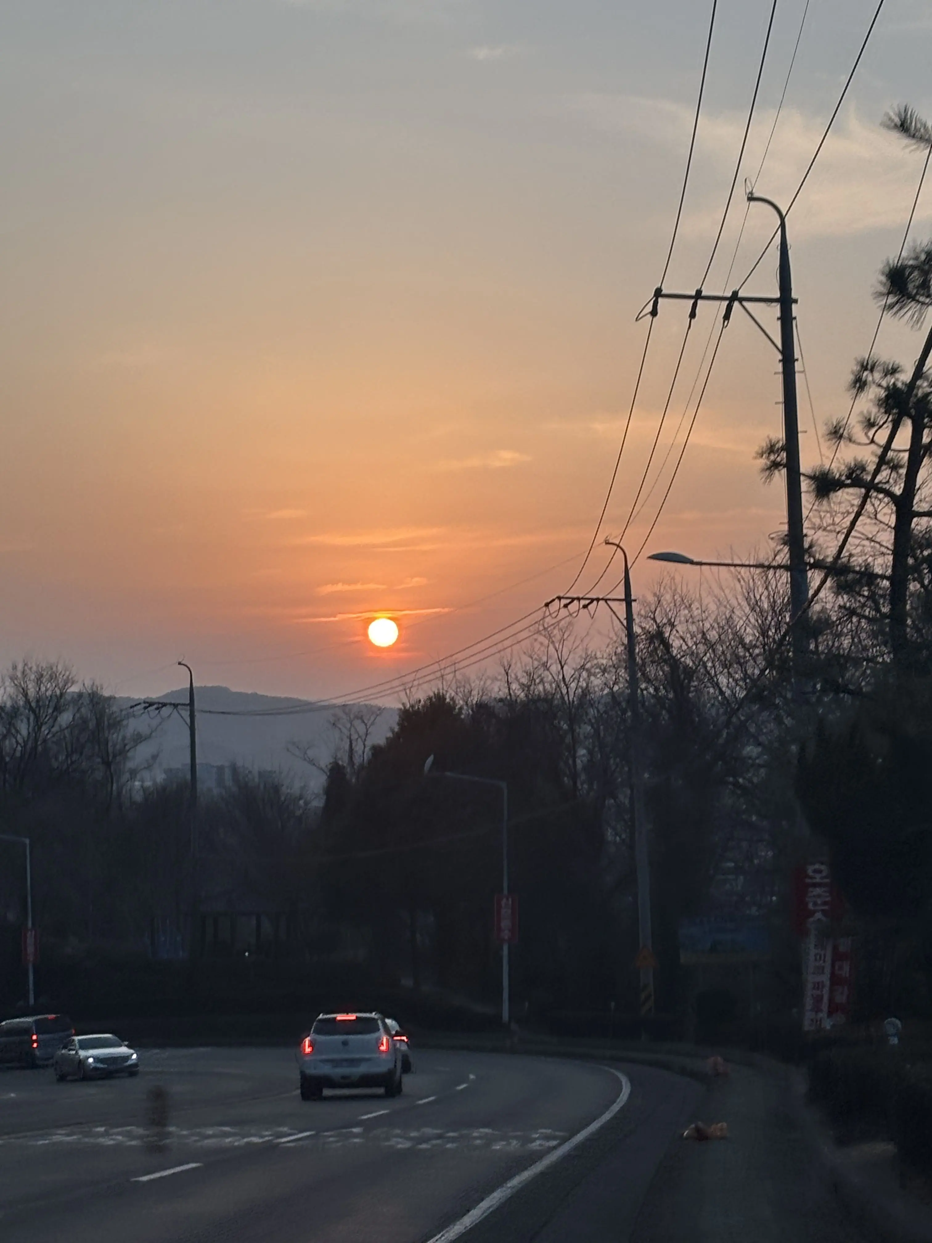 1916HEHO의 로보 프로스터