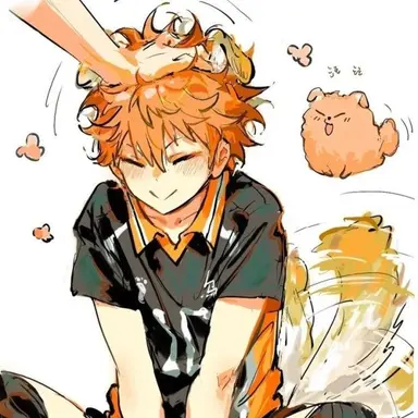 Profile image of Hinata Shoyo