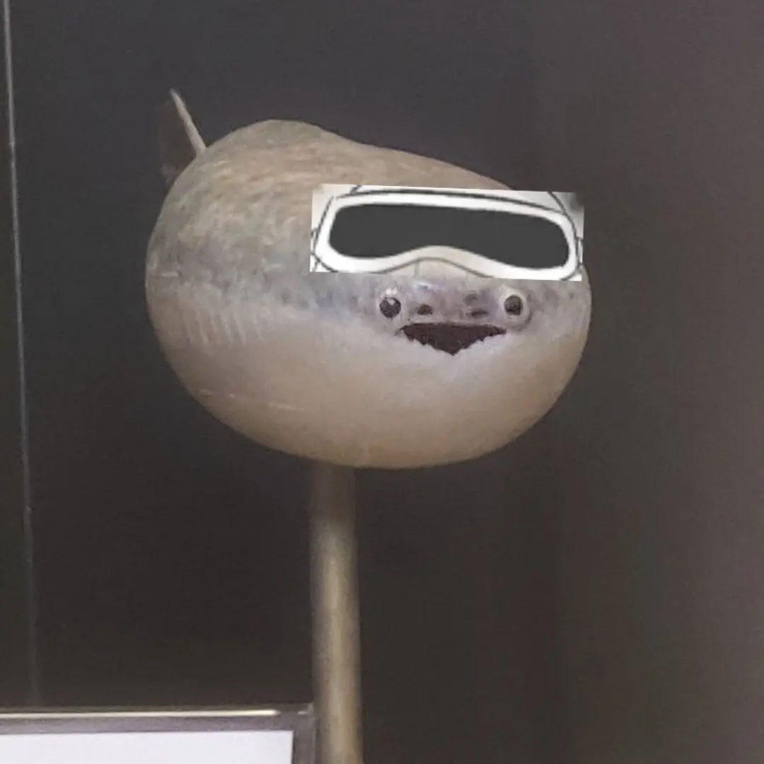 BabagaFarm의 나른한 패밀리 :)