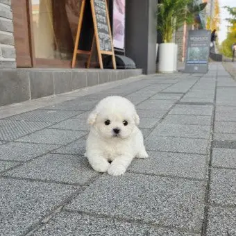 Profile image of 지헌