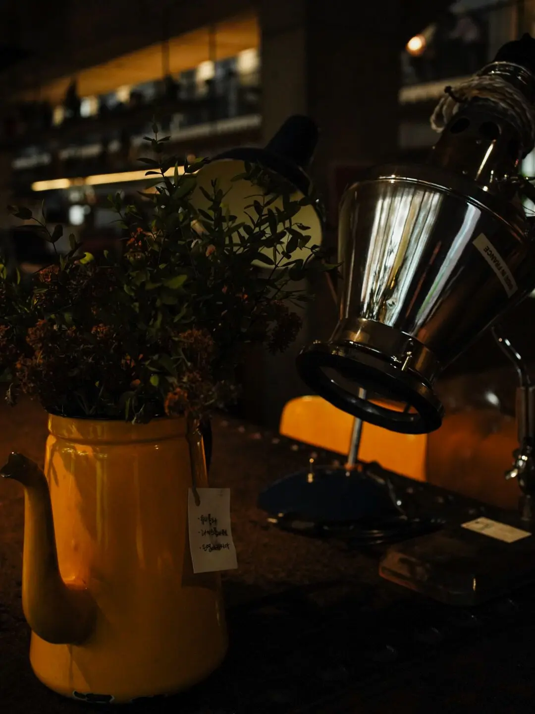 MSTncjaoqe의 픽셀리 수인 카페