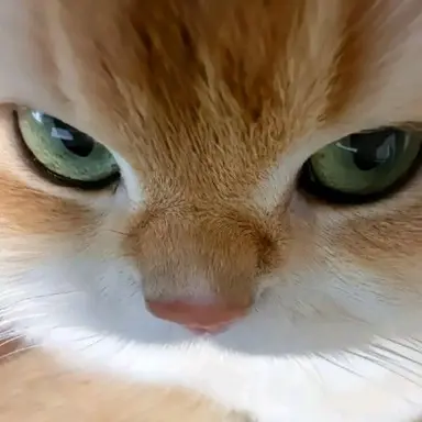 Profile image of 황금