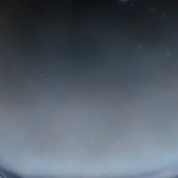 Profile image of 세드니