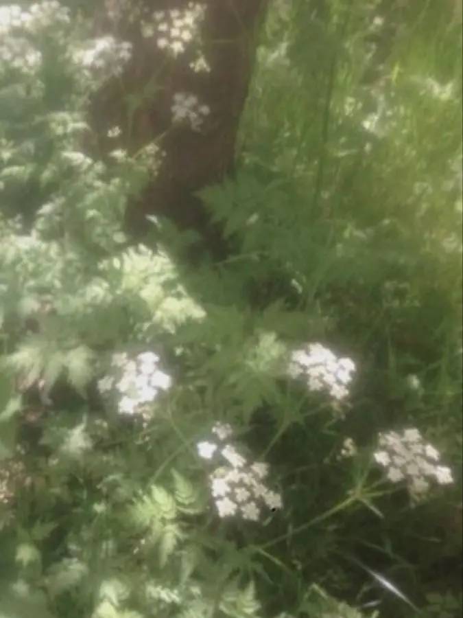 162.1_11의 김우진