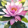 Profile image of 自由