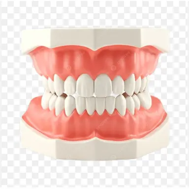 Profile image of 케인