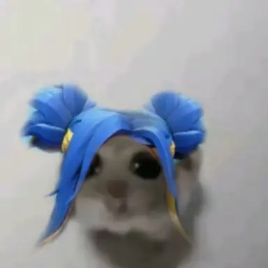 Profile image of 레이
