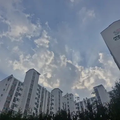 Profile image of 라더