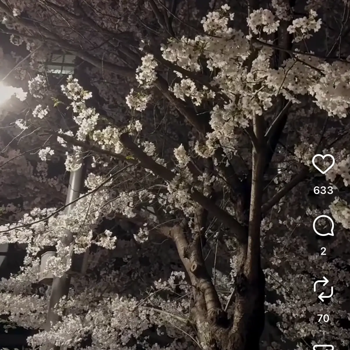 AlienCrow5119의 이지후