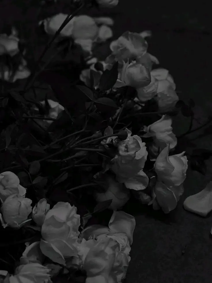 iiiiiiiiiiiii22222222의 한승우