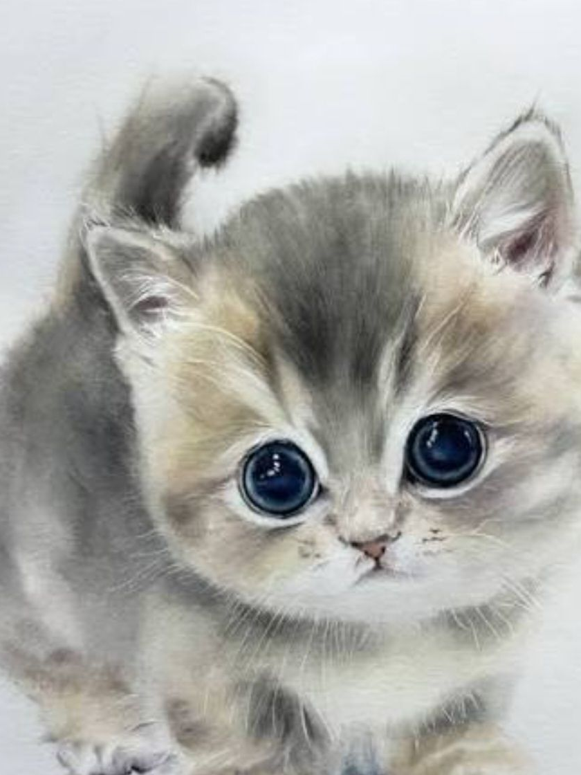 전시적 고양이 시점 대표 이미지