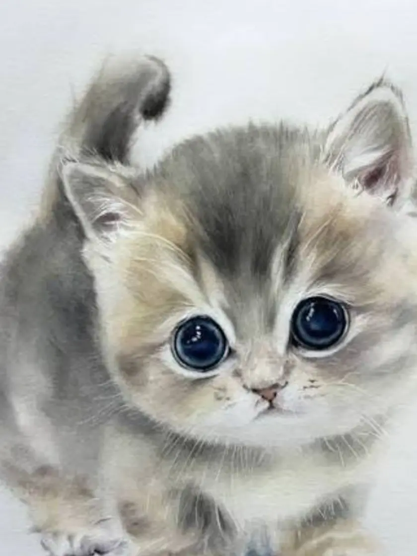 sh9114의 전시적 고양이 시점
